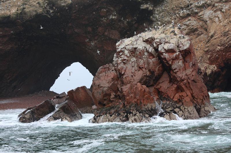 1190-Isole Ballestas,19 luglio 2013.JPG